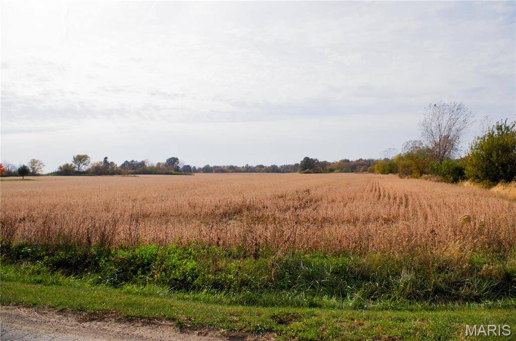 312 Pike County Road, Bowling Green, MO 63334