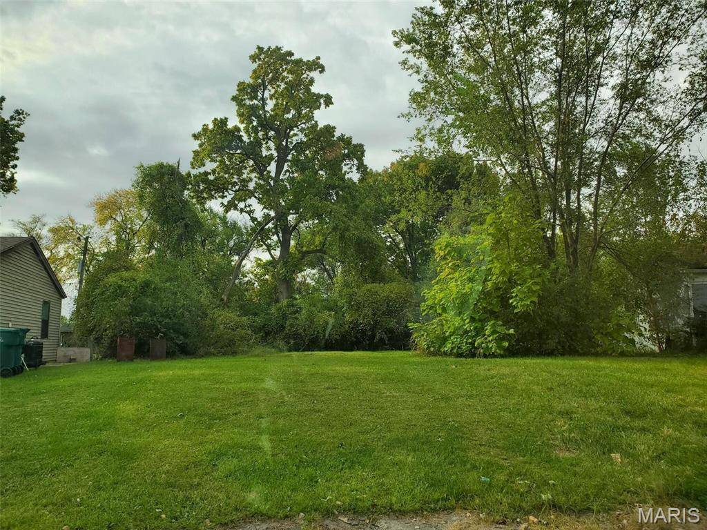 747 Saint Norbert DR, East St Louis, IL 62206