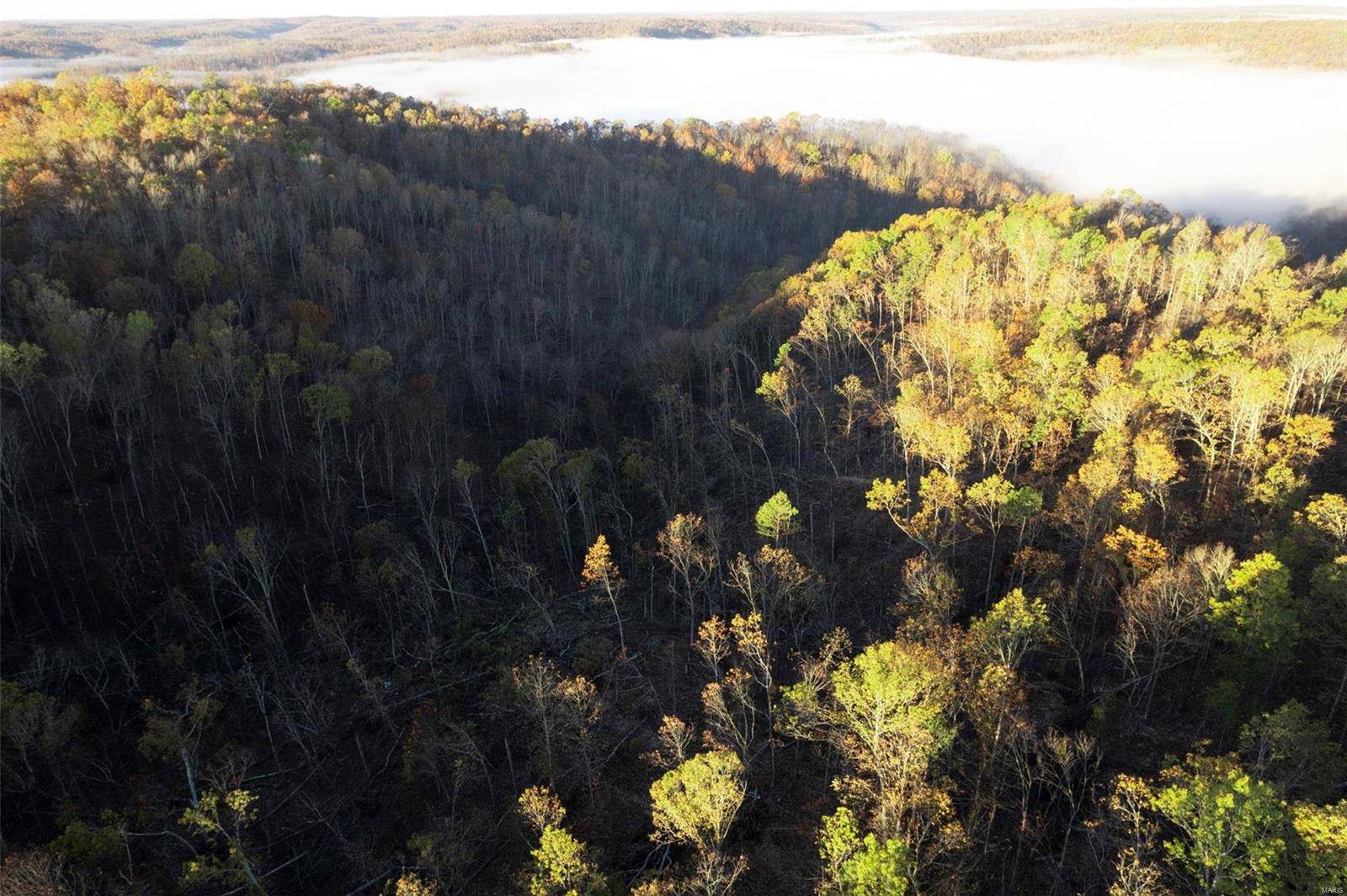 0 County Road 336, Annapolis, MO 63620