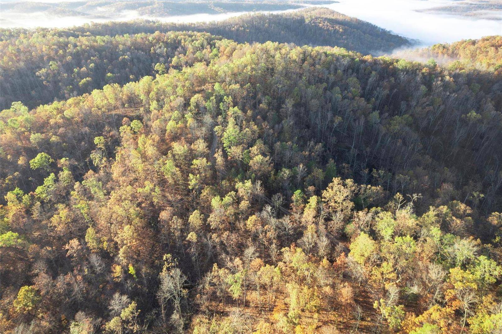 0 County Road 336, Annapolis, MO 63620