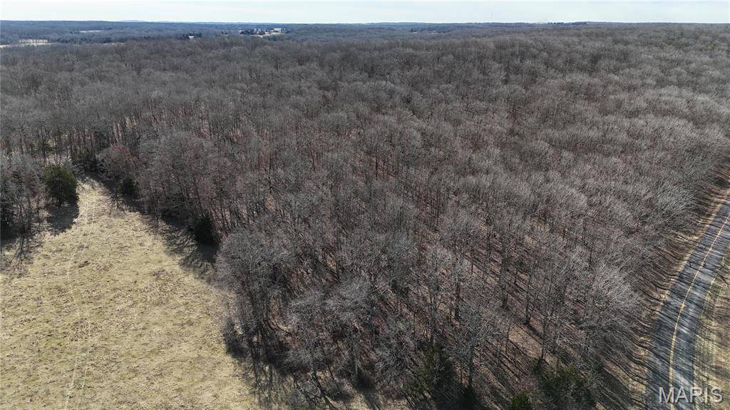 TBD Tract 1 Highway CC, Salem, MO 65560
