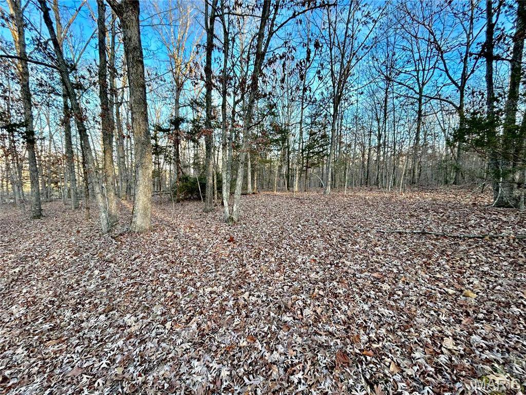 TBD Tract 1 Highway CC, Salem, MO 65560