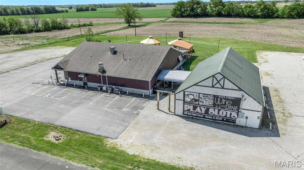 310 E Back ST, Hecker, IL 62248