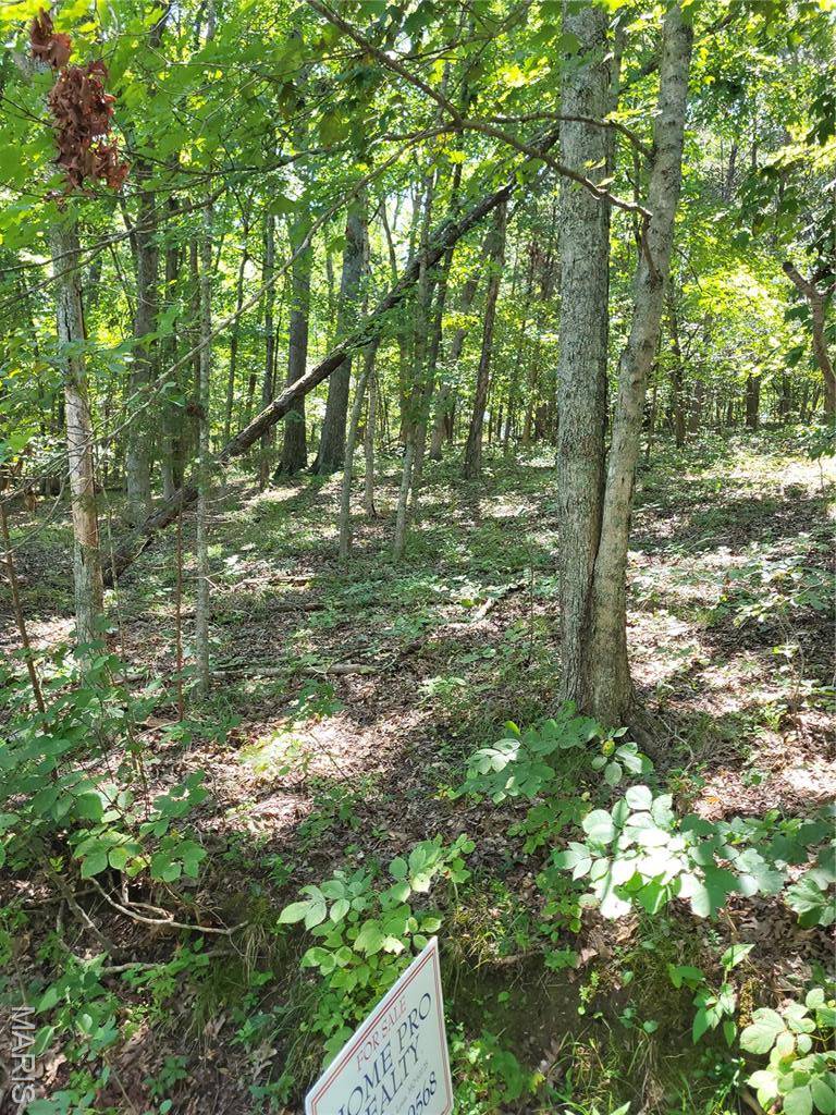 Lot 3 B Lakehill DR, Hillsboro, MO 63050