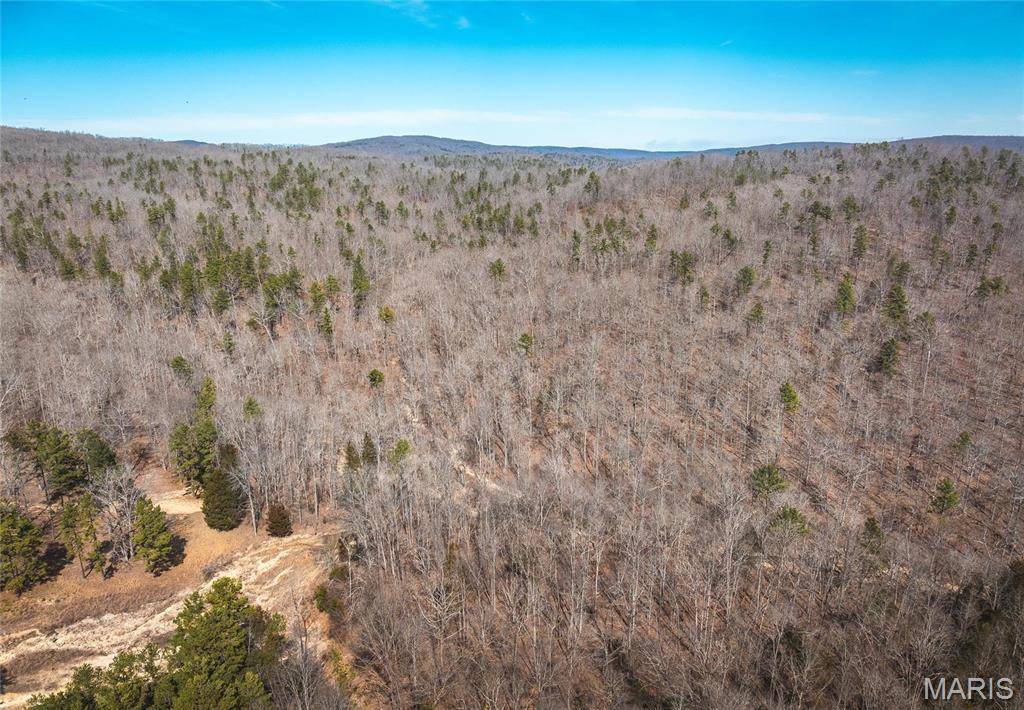 1500 County Road 215, Lesterville, MO 63656