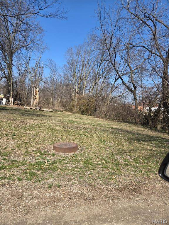 650 Sarah ST, Livingston, IL 62058