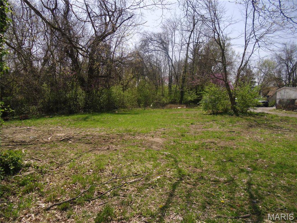 6 N 95th ST, Belleville, IL 62223