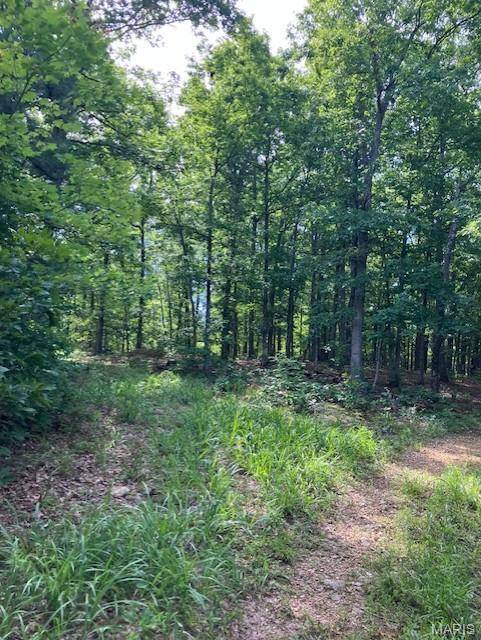 80 Reynolds CR 362, Lesterville, MO 63654