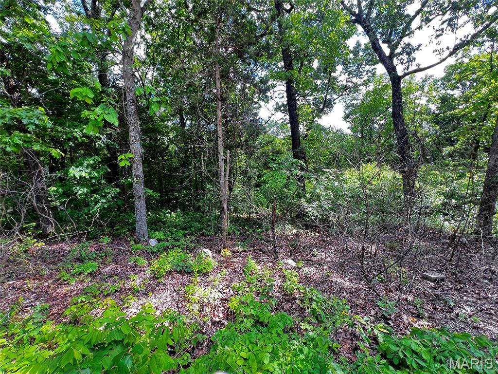 5918 Valley DR, French Village, MO 63036