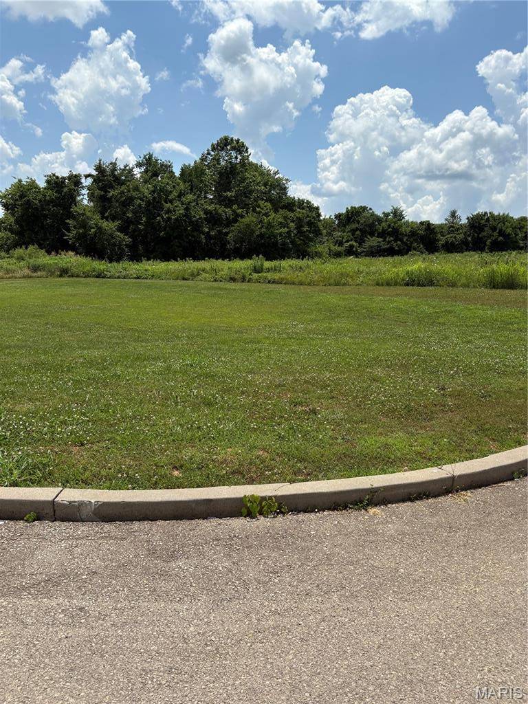 1261 W Main ST, Fredericktown, MO 63645