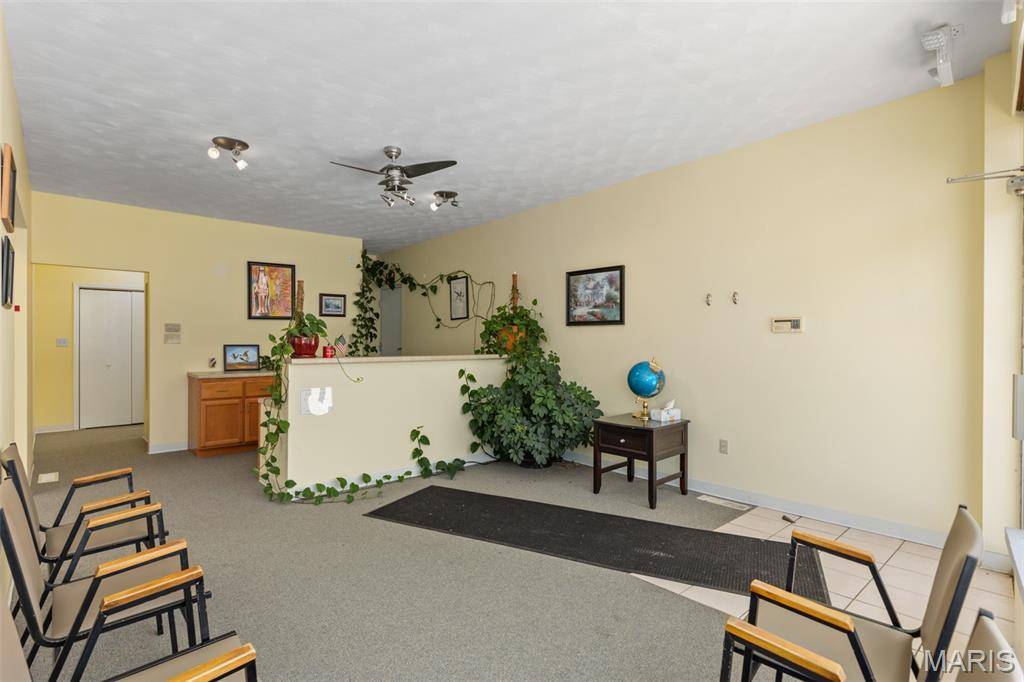 111 W Kirkham ST, Litchfield, IL 62056
