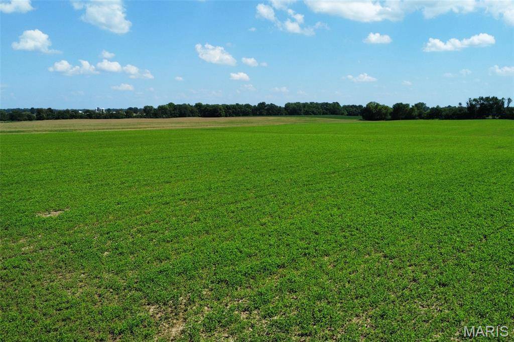 1 Trio LN, Edwardsville, IL 62025