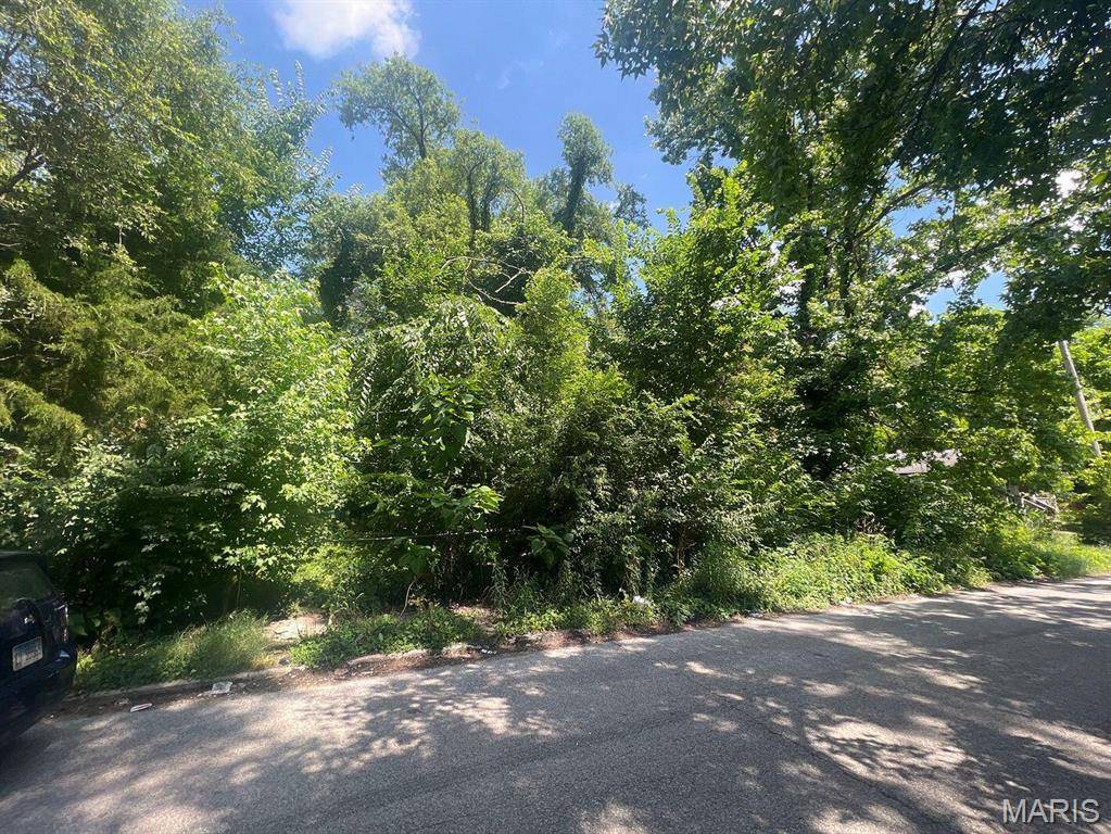 1342 N 41st ST, East St Louis, IL 62204
