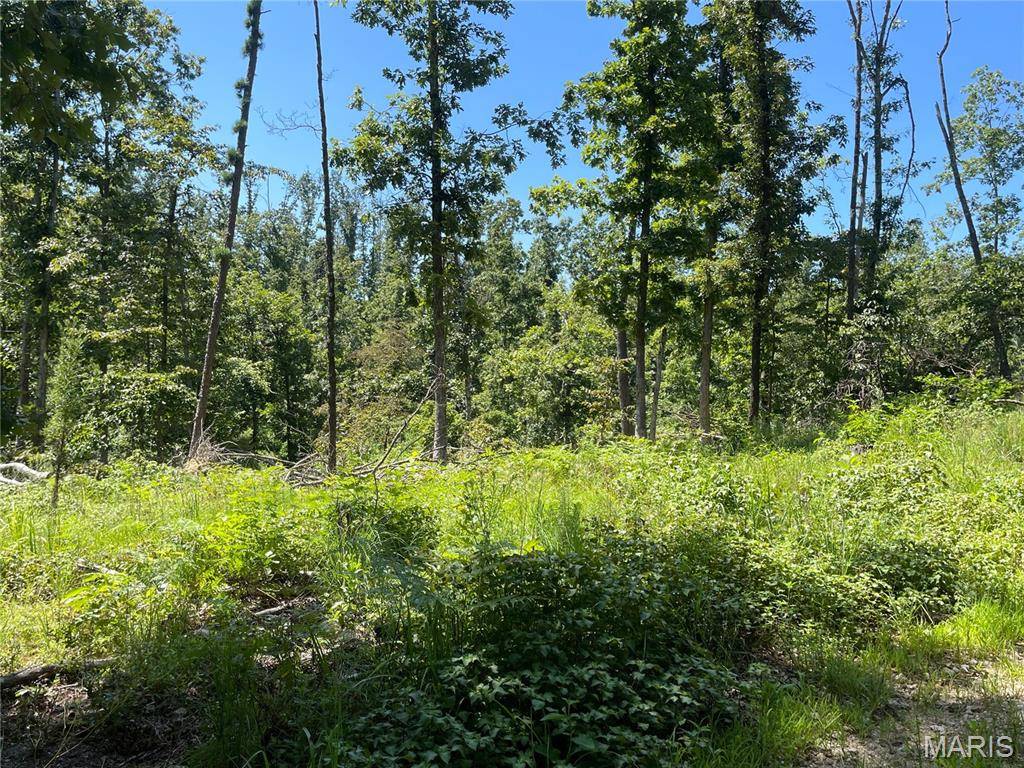 000 County Road 457, Ellsinore, MO 63957