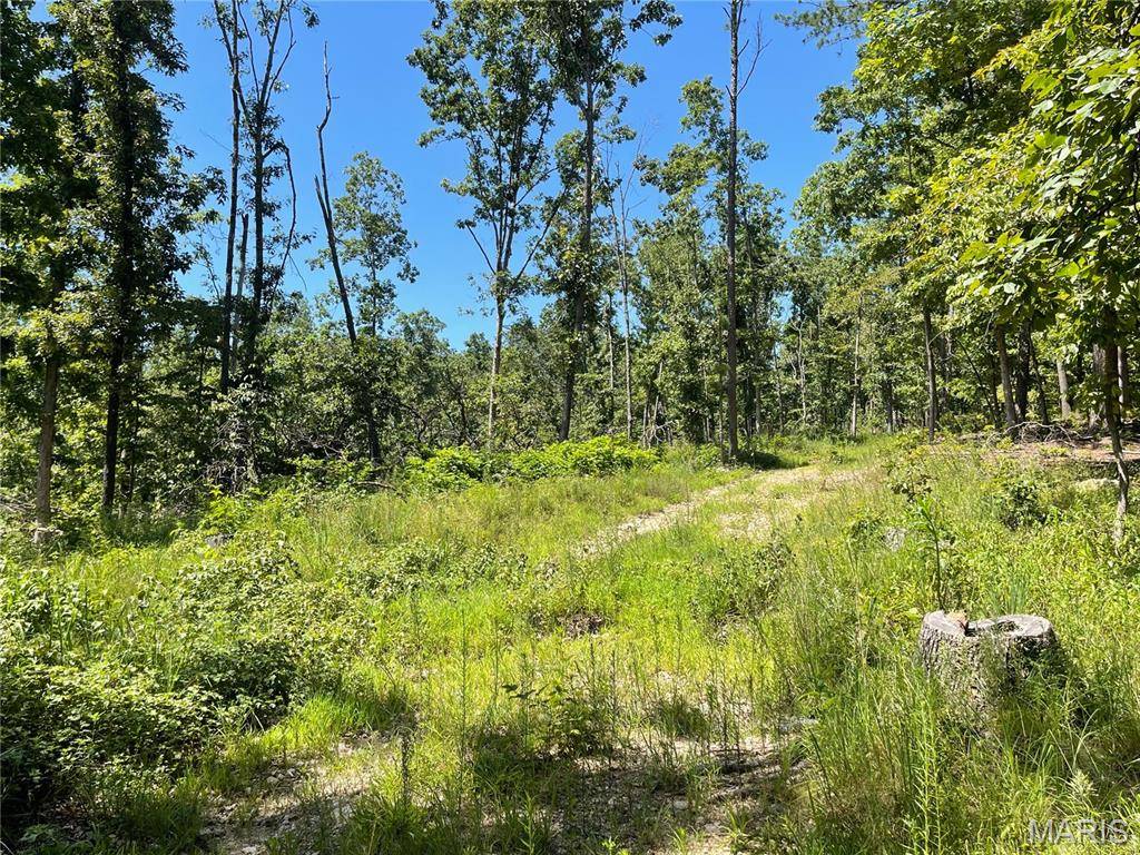 000 County Road 457, Ellsinore, MO 63957