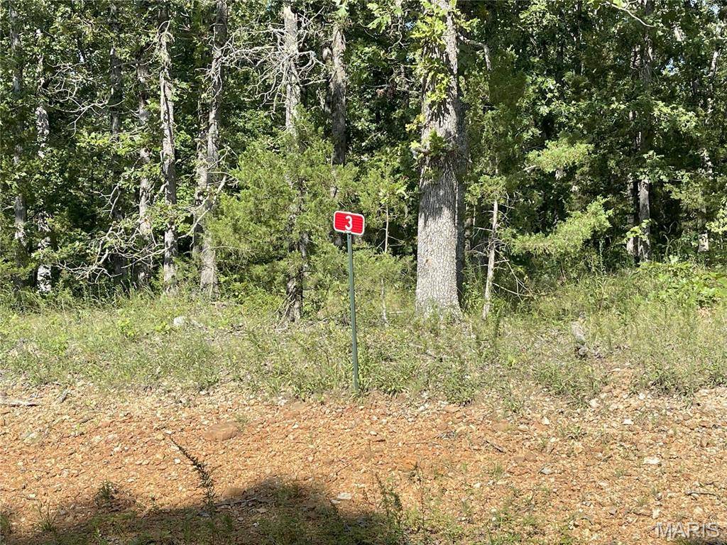 TBD Forest View, Steelville, MO 65565