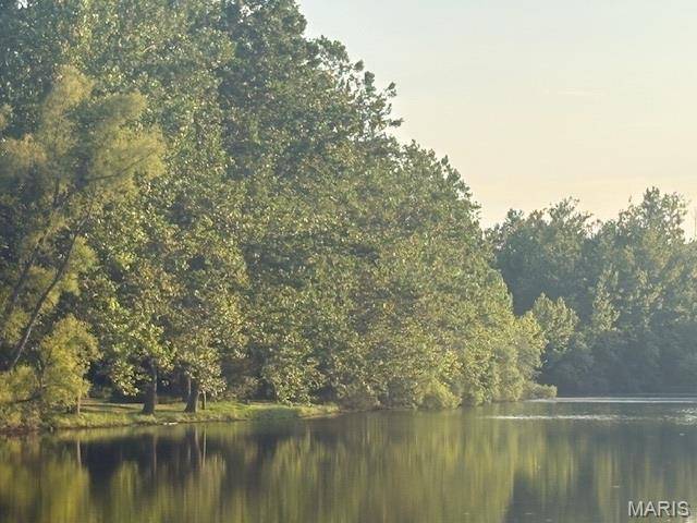 5683 Forest DR, Hillsboro, MO 63050