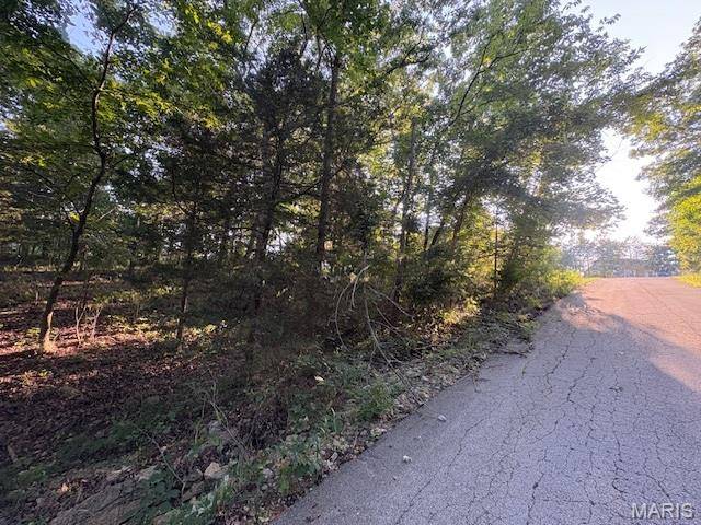9613 Greenview CT, Hillsboro, MO 63050