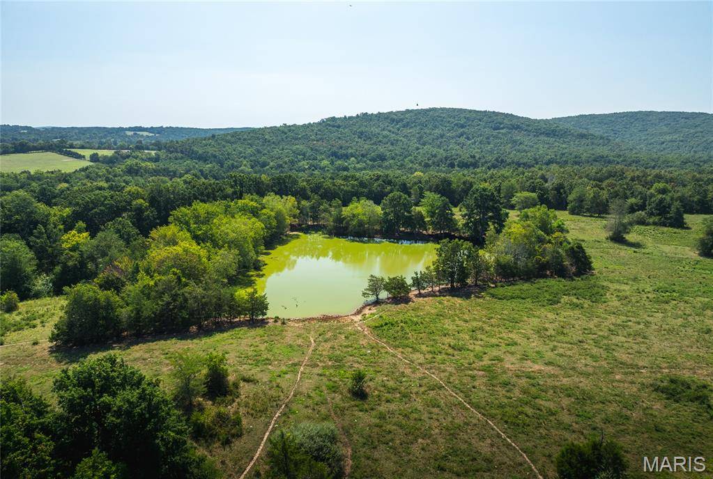 9556 Madison 535, Fredericktown, MO 63645