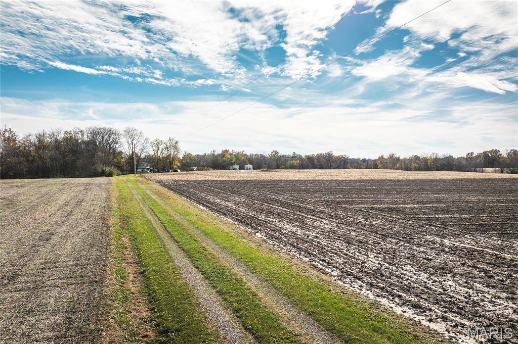 32987 T B Ruyle RD, Medora, IL 62063