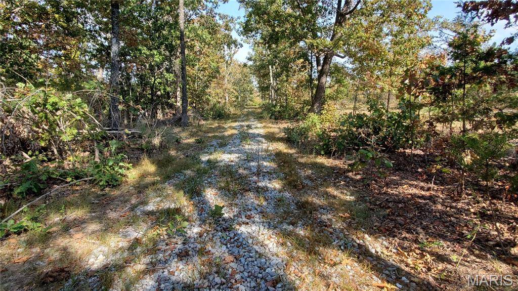 00 County Road 6030, Salem, MO 65560