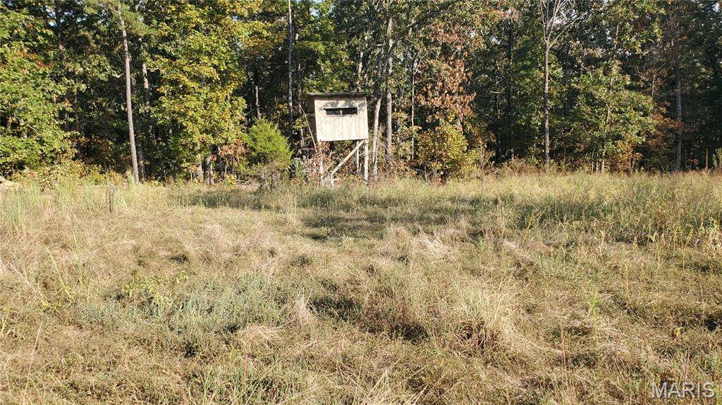 00 County Road 6030, Salem, MO 65560