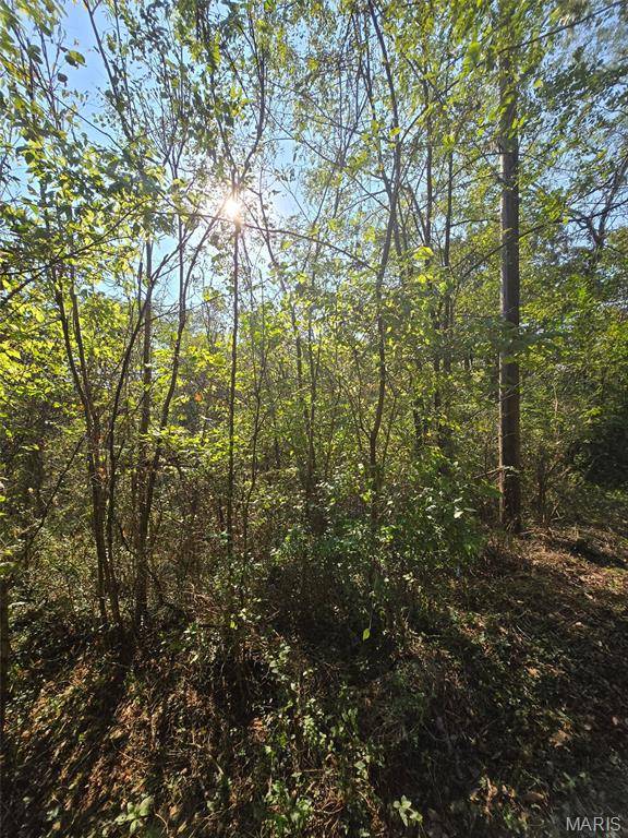570 Sycamore ST, Newburg, MO 65550