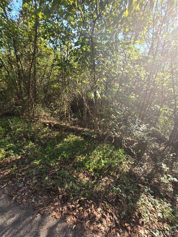 570 Sycamore ST, Newburg, MO 65550