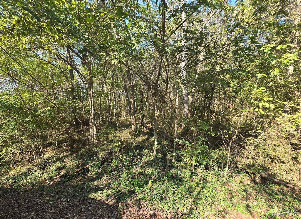 570 Sycamore ST, Newburg, MO 65550