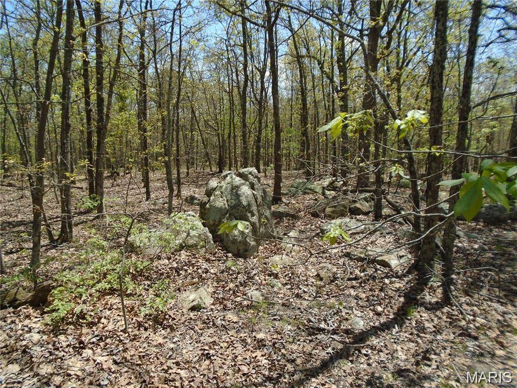 0 Whitetail Glen TRL, Ironton, MO 63650