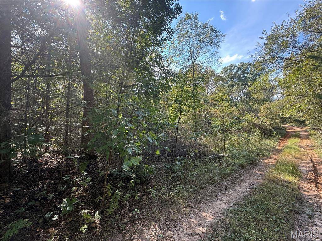 19450 Private Drive 6536, Beulah, MO 65436