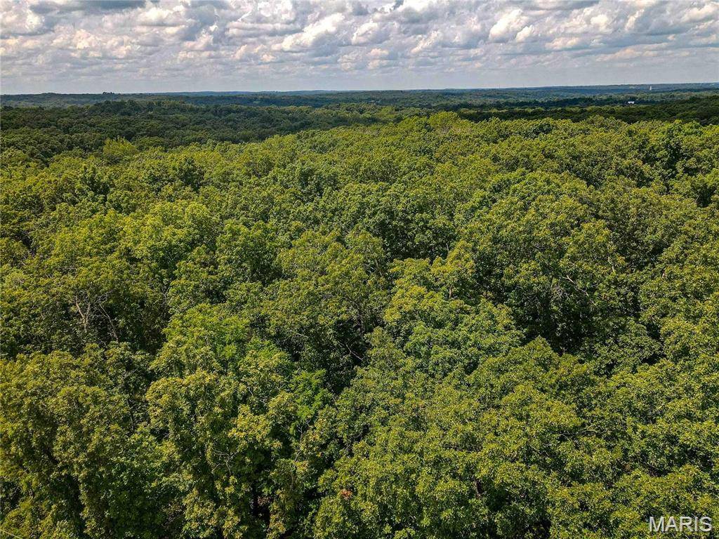 1811 Hendricks RD, Robertsville, MO 63072