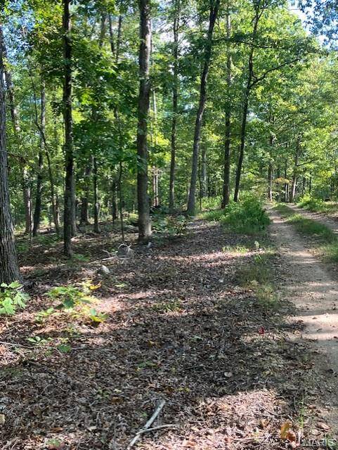 176 Madison CR 410, Fredericktown, MO 63645