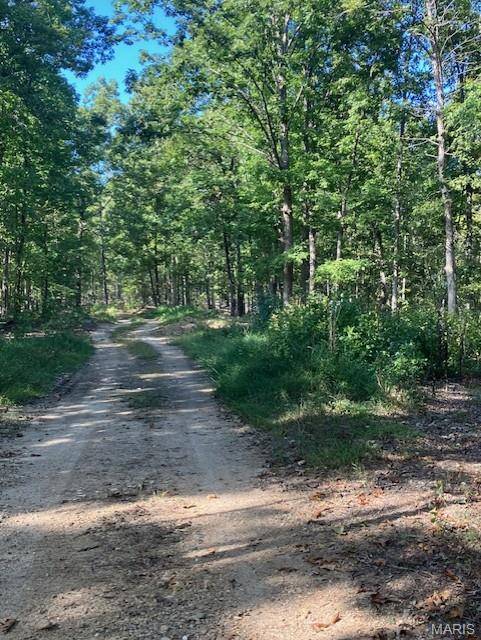 176 Madison CR 410, Fredericktown, MO 63645