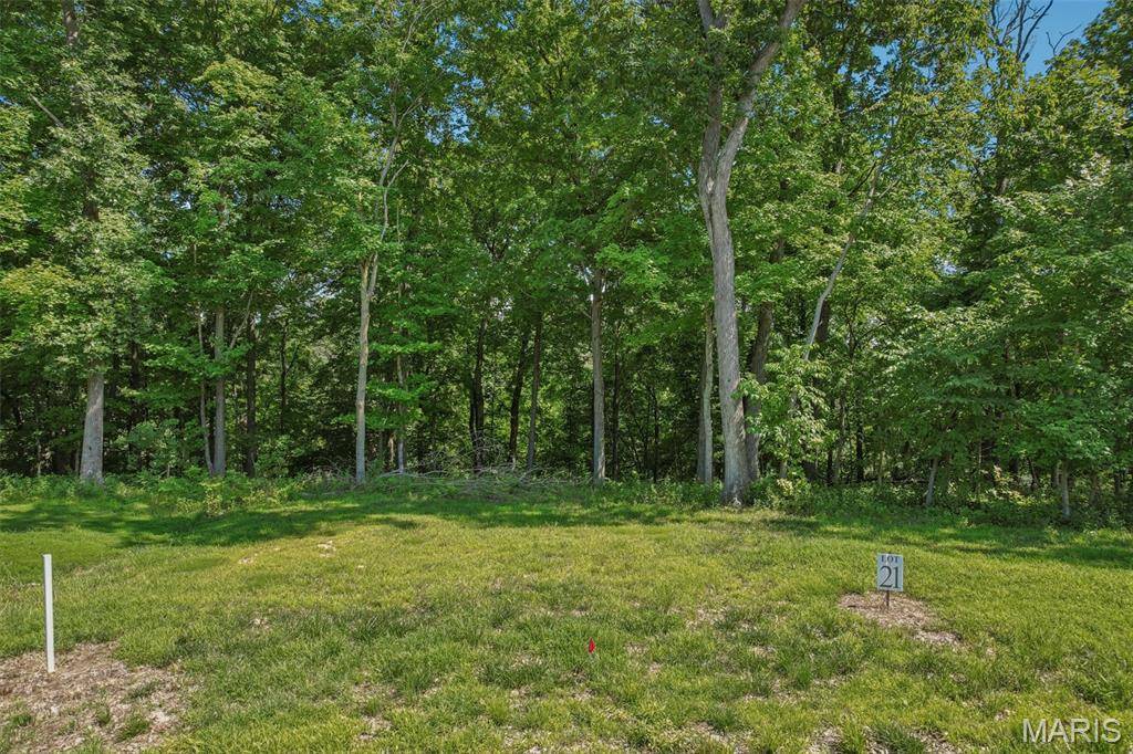 8 Forest Ridge LN, Litchfield, IL 62056
