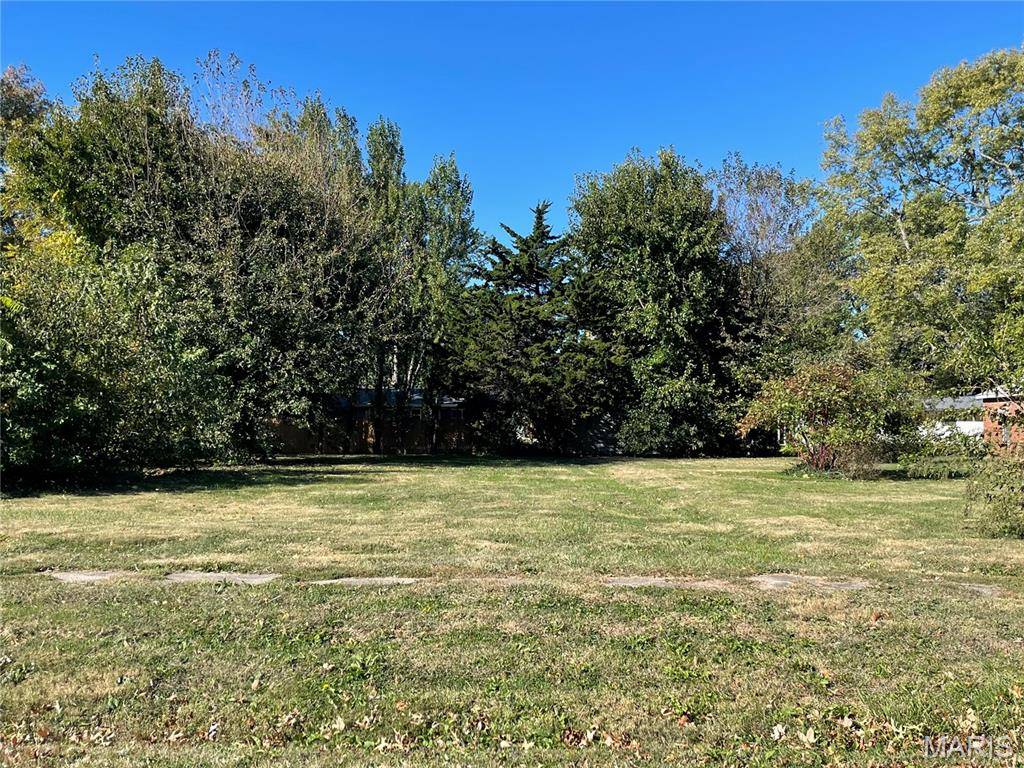 TBD N Madison ST, Litchfield, IL 62056
