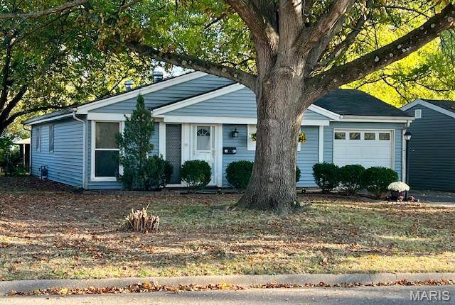 1441 Wabash AVE, Belleville, IL 62220