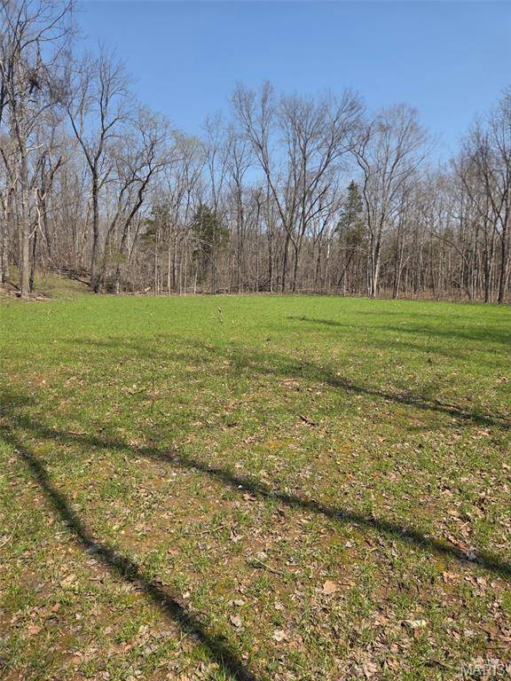 Tract 2 BCR 930, Patton, MO 63662