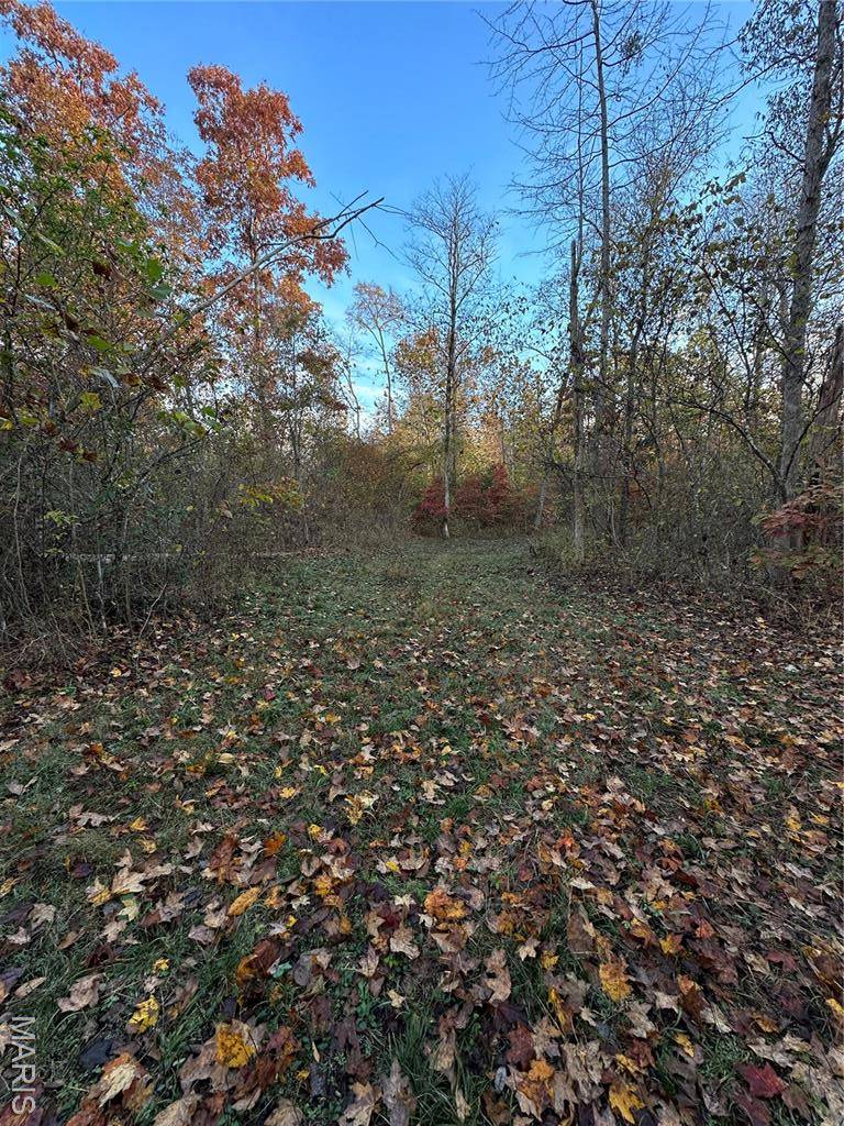 TBD Tract 3 Bobwhite Lane, Fairdealing, MO 63939