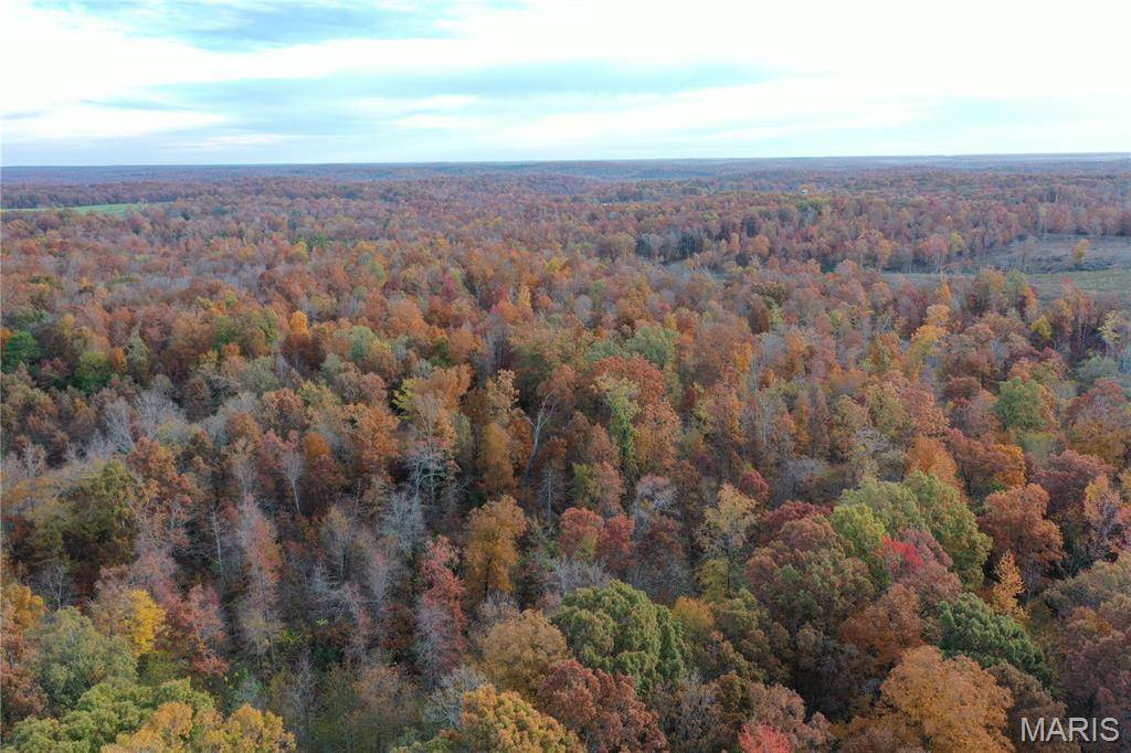 TBD Tract 3 Bobwhite Lane, Fairdealing, MO 63939