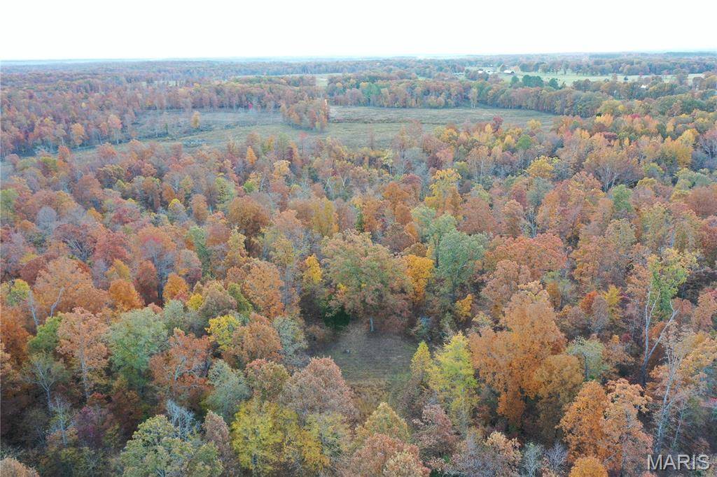 TBD Tract 3 Bobwhite Lane, Fairdealing, MO 63939