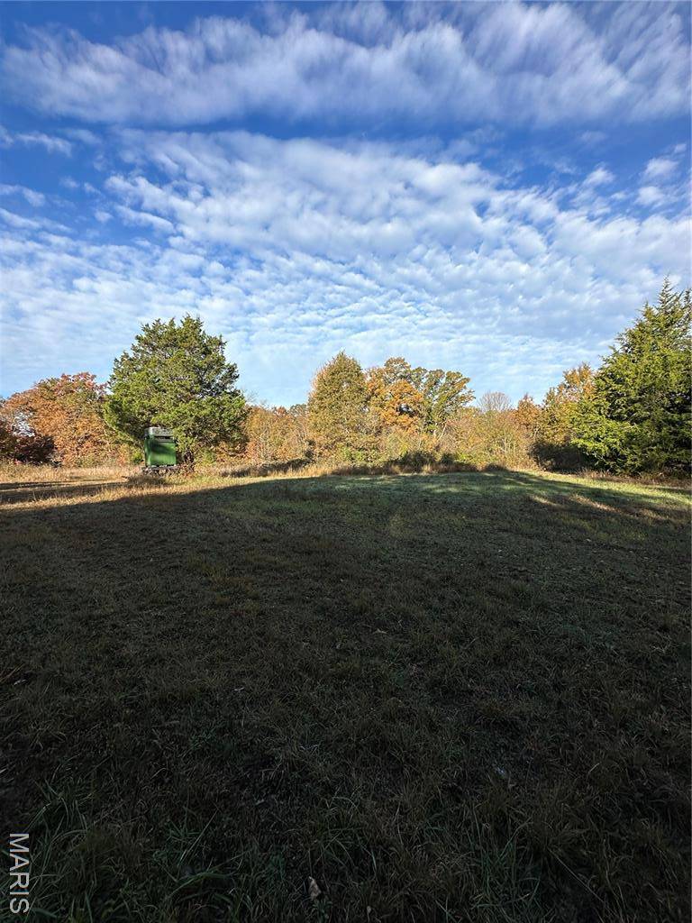 TBD Tract 4 Bobwhite Lane, Fairdealing, MO 63939
