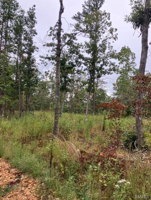 178 Madison CR 410, Fredericktown, MO 63645