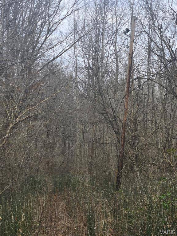 0 Lincoln ST, Villa Ridge, IL 62964
