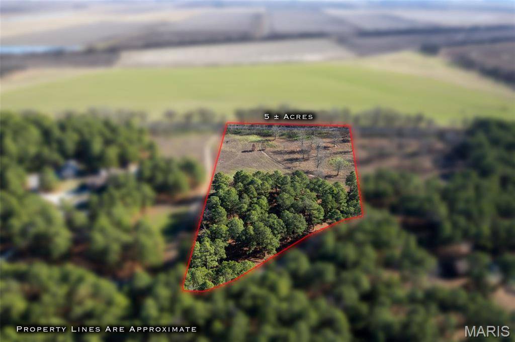 Lot 26 Ridgeway CIR, Benton, MO 63736
