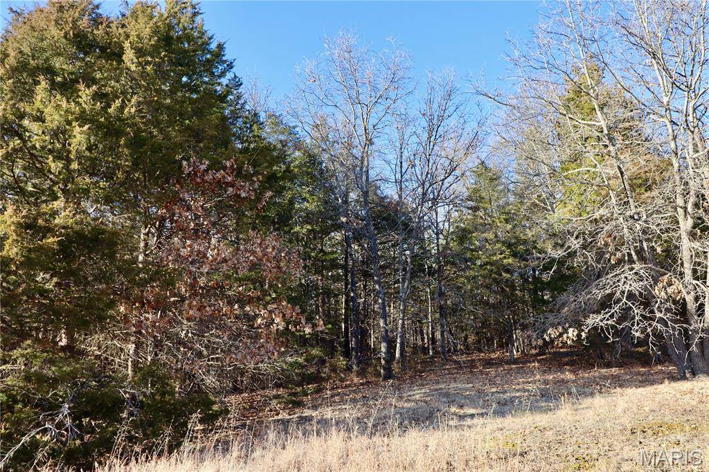 000 Cotrel LN, Falcon, MO 65470