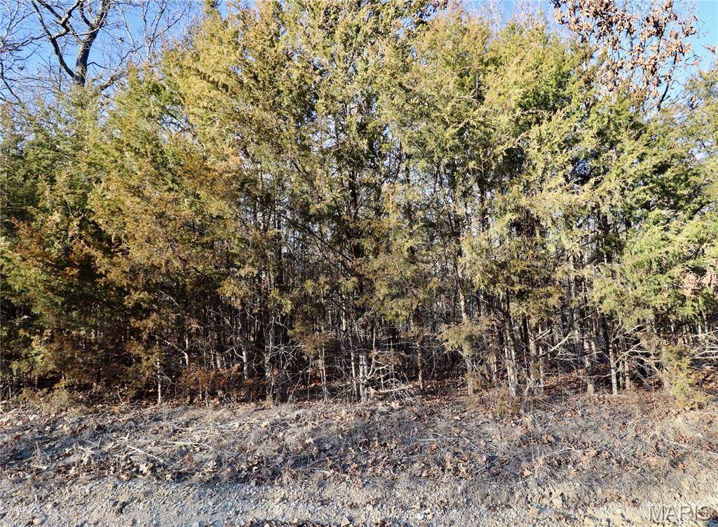 000 Cotrel LN, Falcon, MO 65470