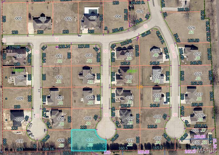 399 Gadwall CT, Staunton, IL 62088