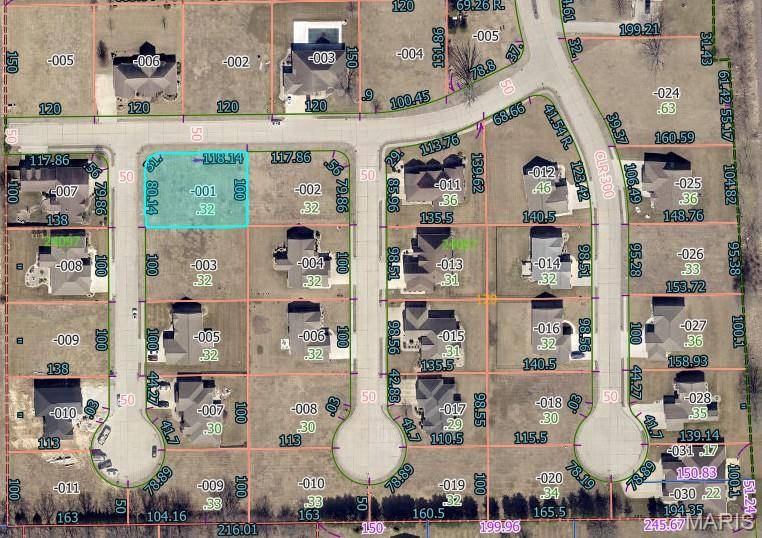 1636 Canvas Back DR, Staunton, IL 62088