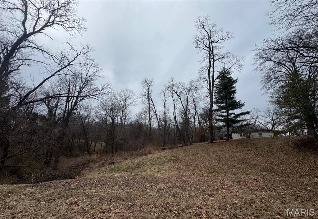 4802 Blu Fountain DR, Godfrey, IL 62035